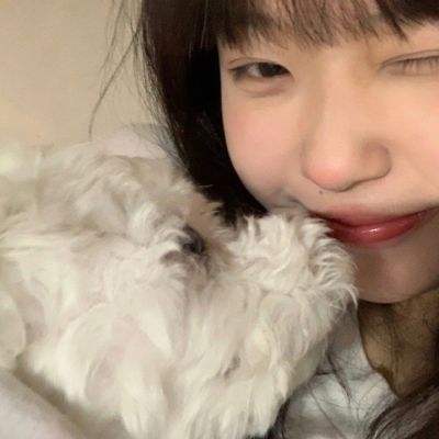 名侦探柯南隐藏的证物内购破解版下载